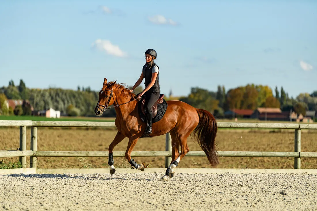 500 Adult Synthetic Horse Riding Long Boots