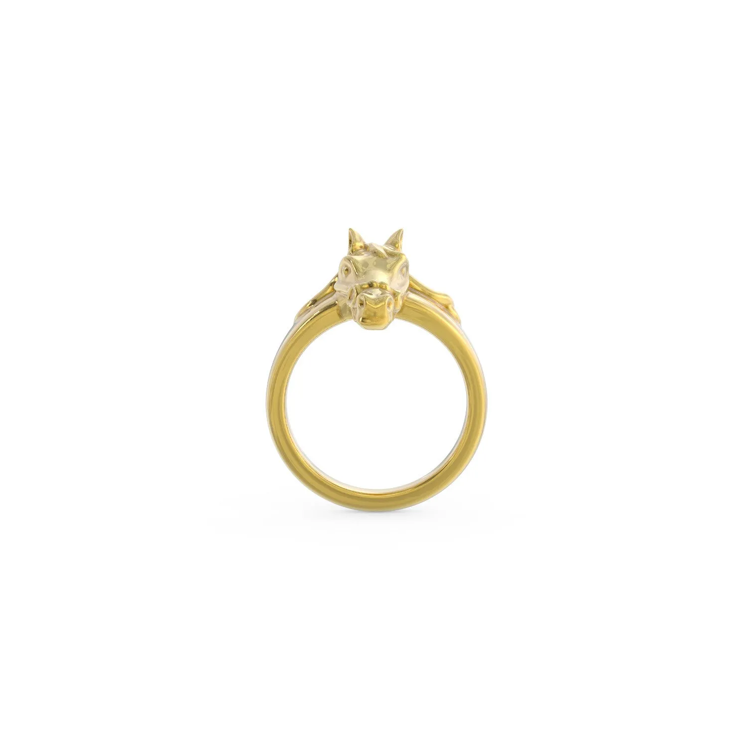 Equestrian Ring