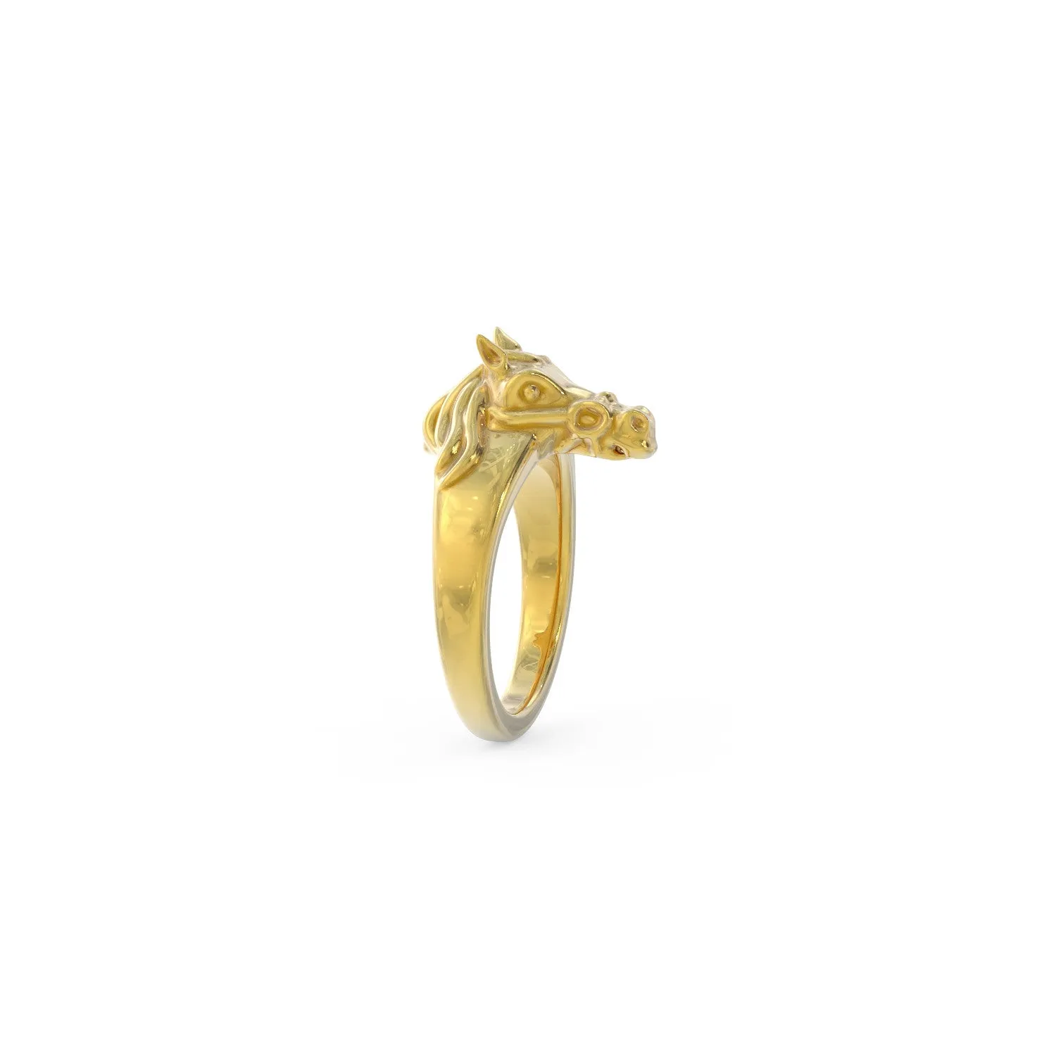 Equestrian Ring