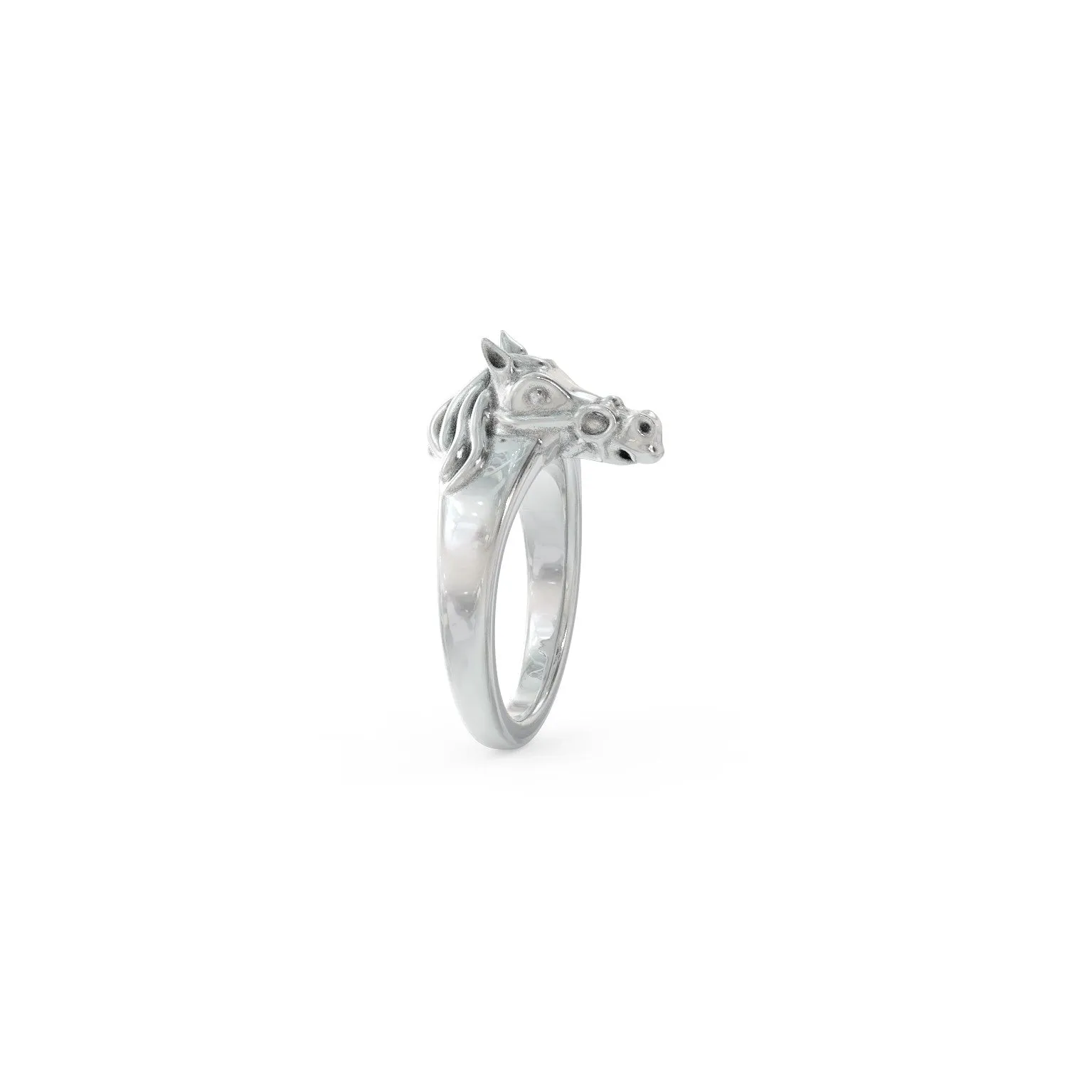 Equestrian Ring