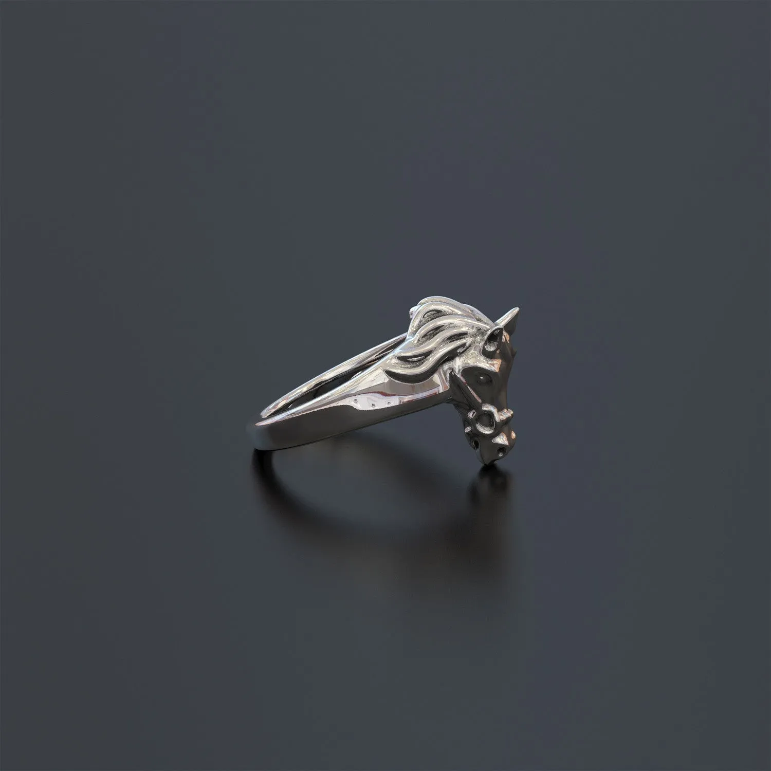 Equestrian Ring