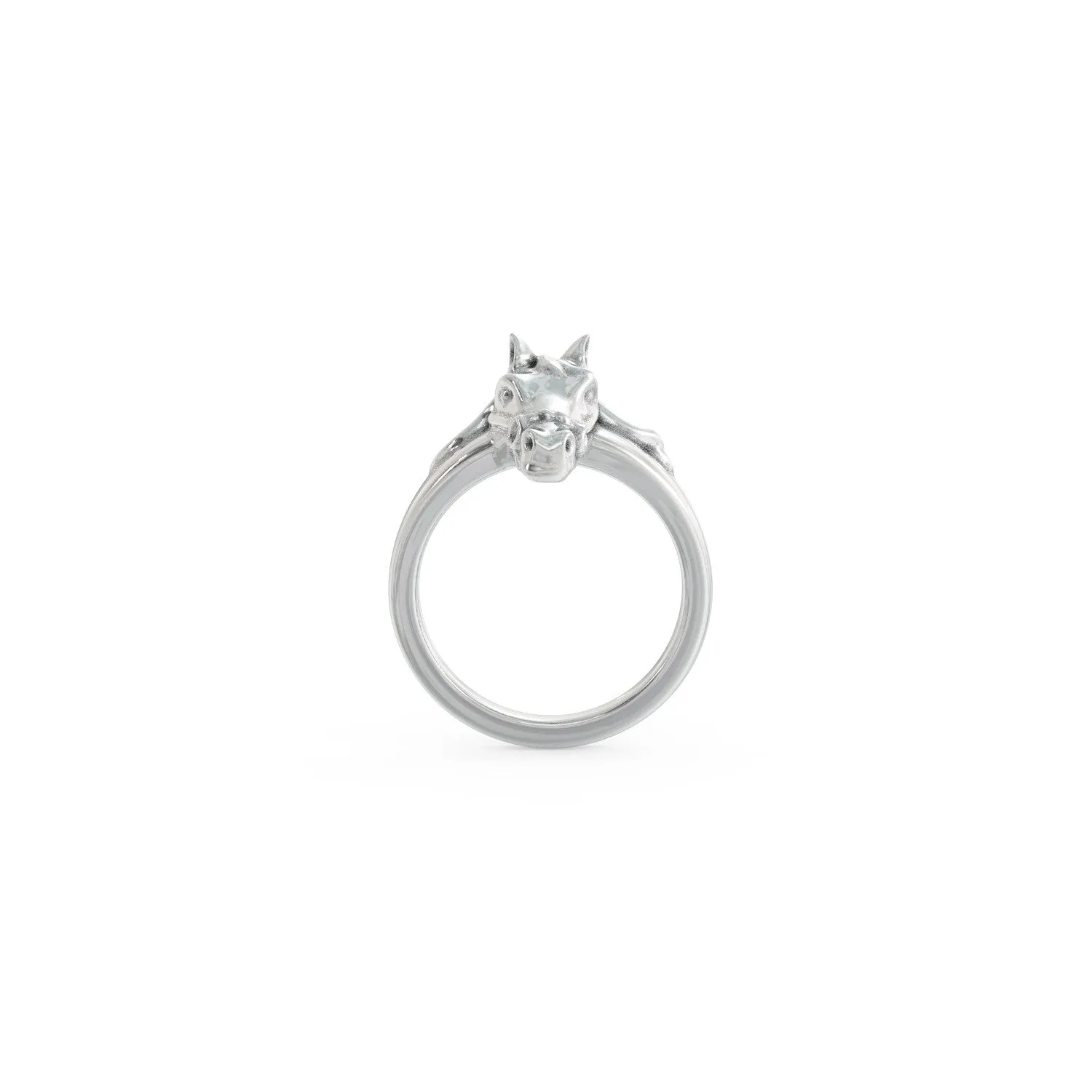 Equestrian Ring