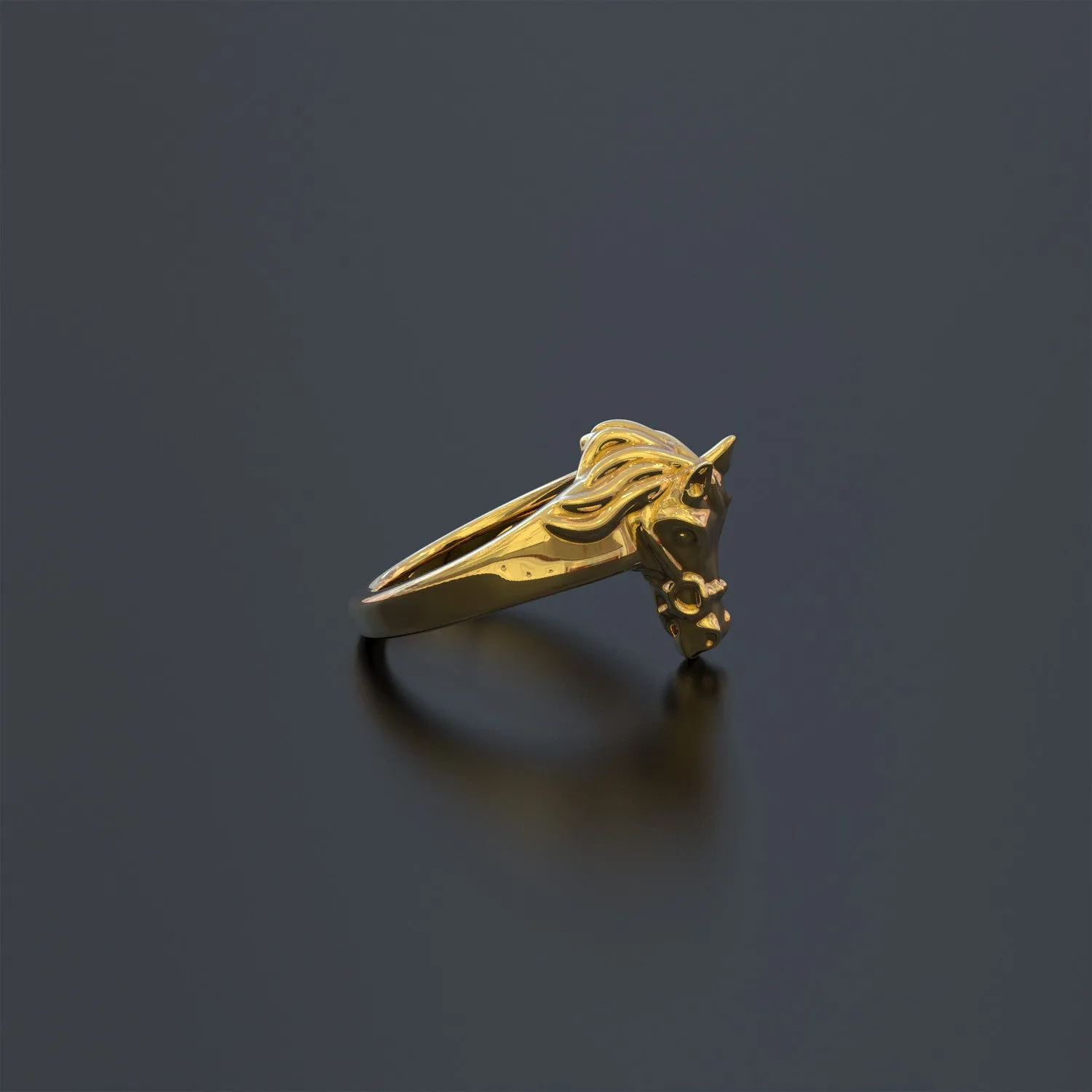 Equestrian Ring