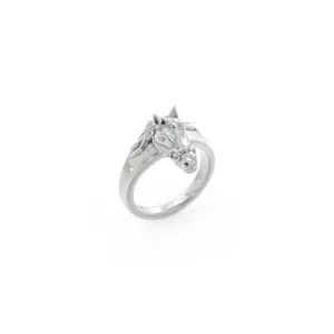 Equestrian Ring