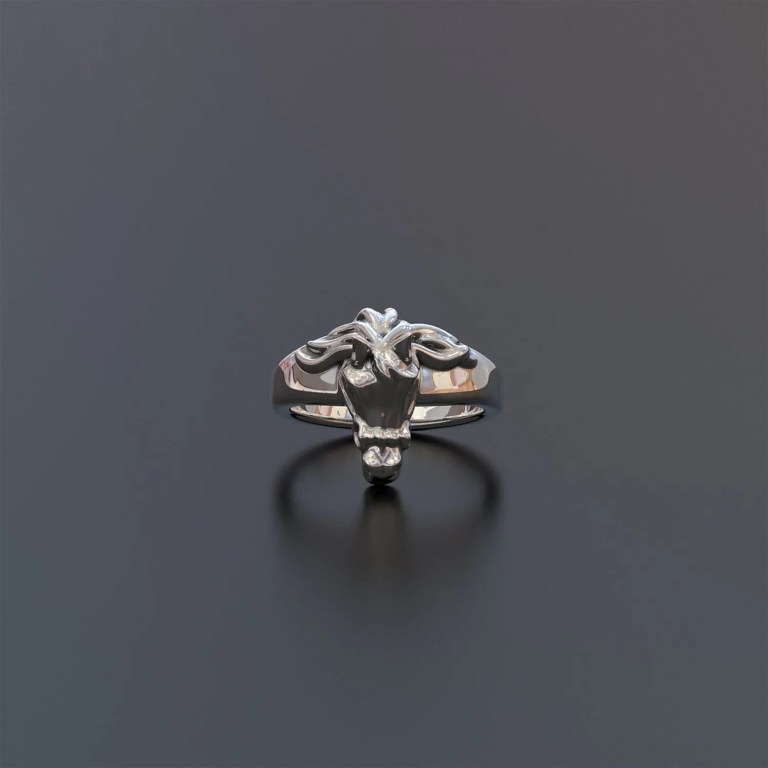 Equestrian Ring