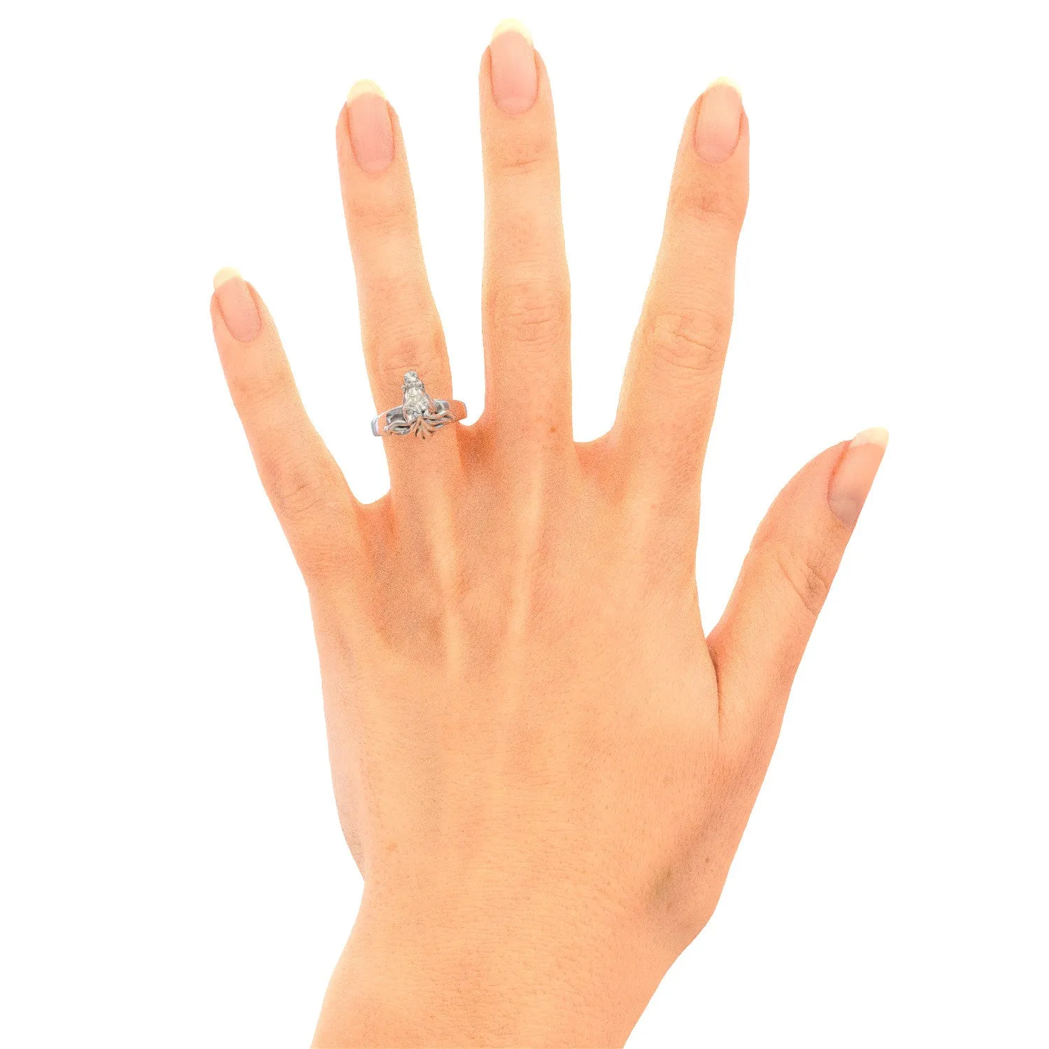 Equestrian Ring