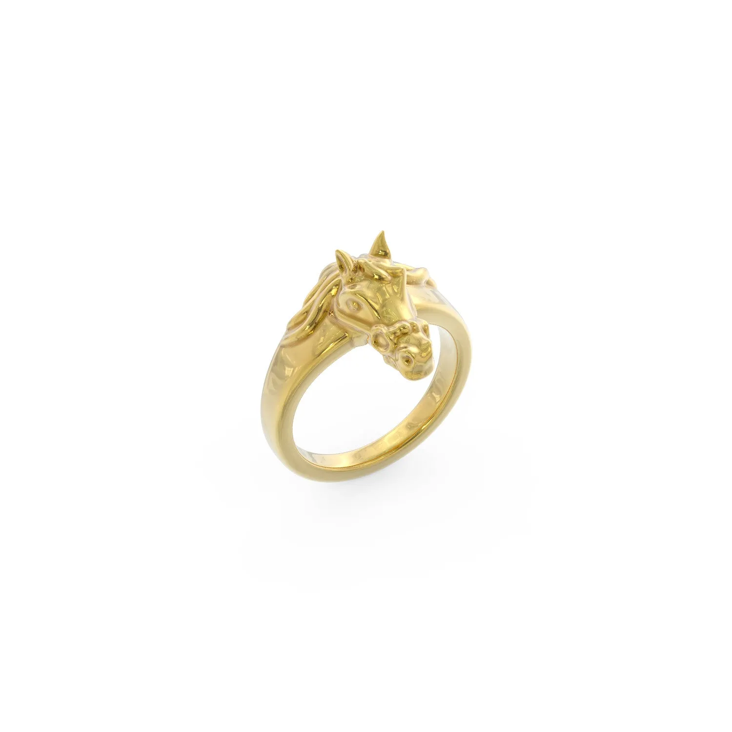 Equestrian Ring