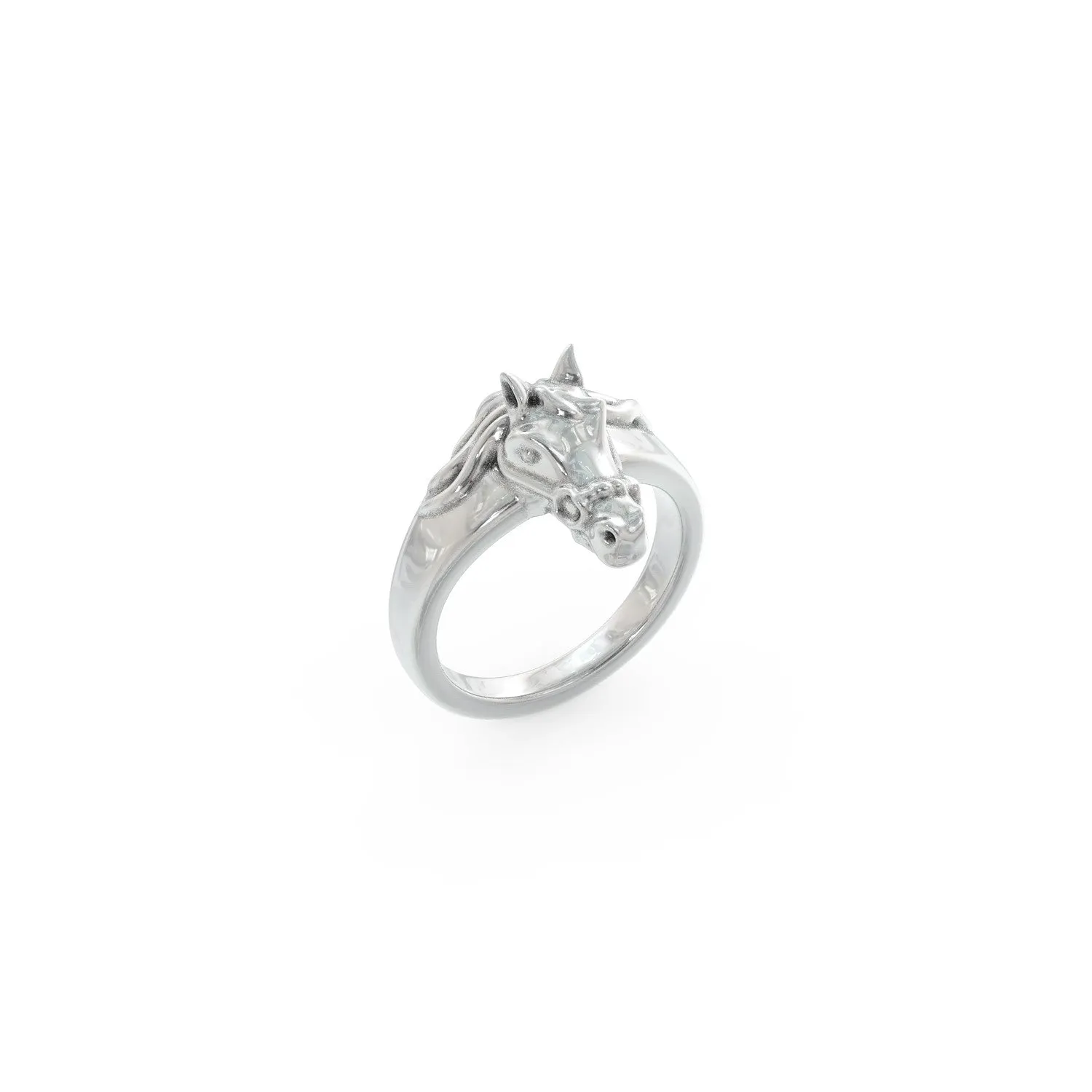 Equestrian Ring
