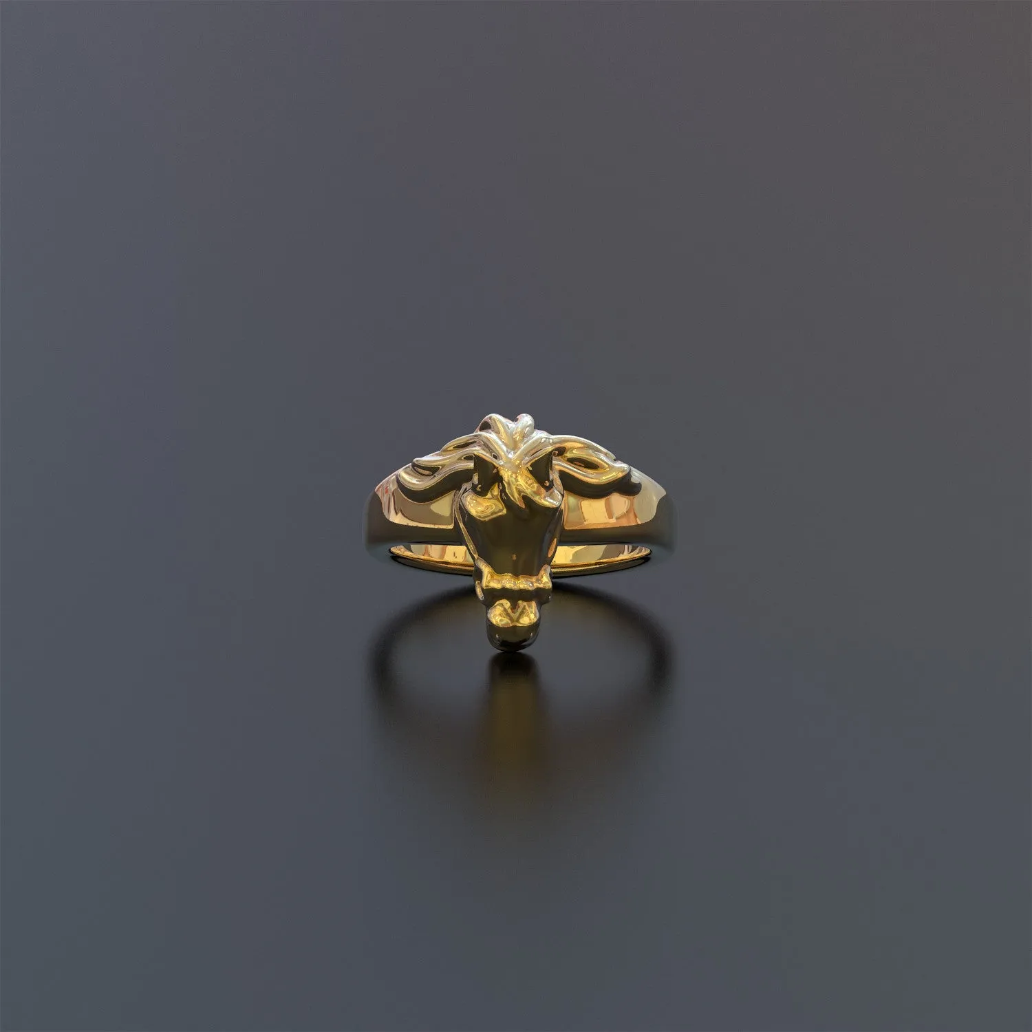 Equestrian Ring