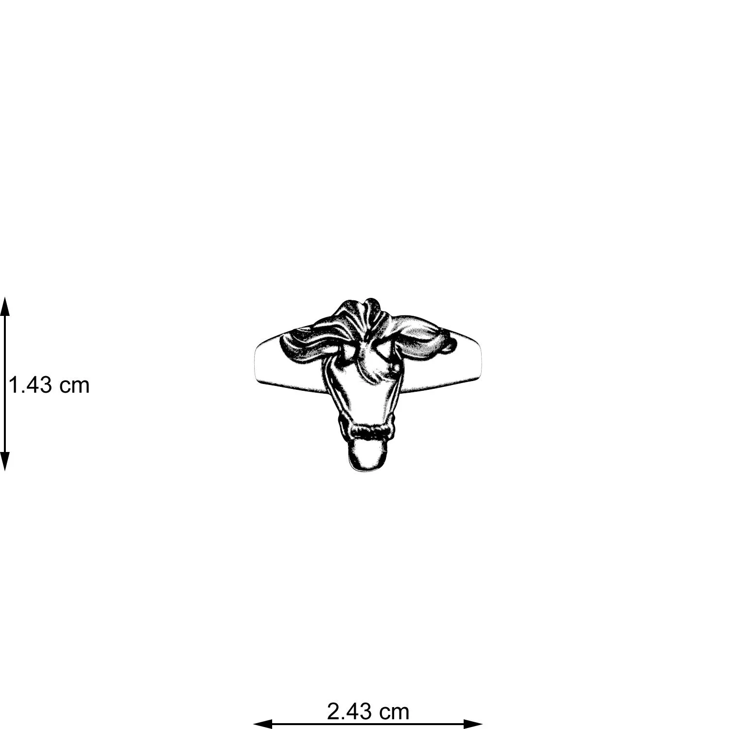 Equestrian Ring