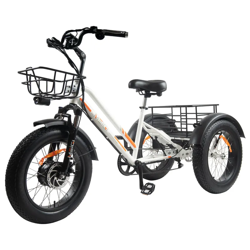 EZREAL MG 1703 Three Wheels 750 Watt Motor Electric Bike Battery 48V 18.2AH Fat Tire Size 20x4.0" Cargo Bag