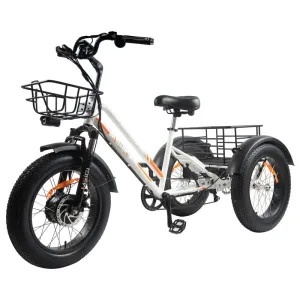 EZREAL MG 1703 Three Wheels 750 Watt Motor Electric Bike Battery 48V 18.2AH Fat Tire Size 20x4.0" Cargo Bag