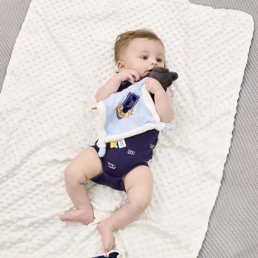 HARRY POTTER Ravenclaw Comfort Blanket