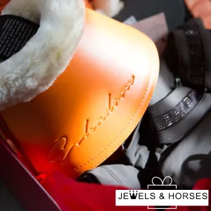 J&H Limited Equestrian Gift Box - Birthdays & Christmas