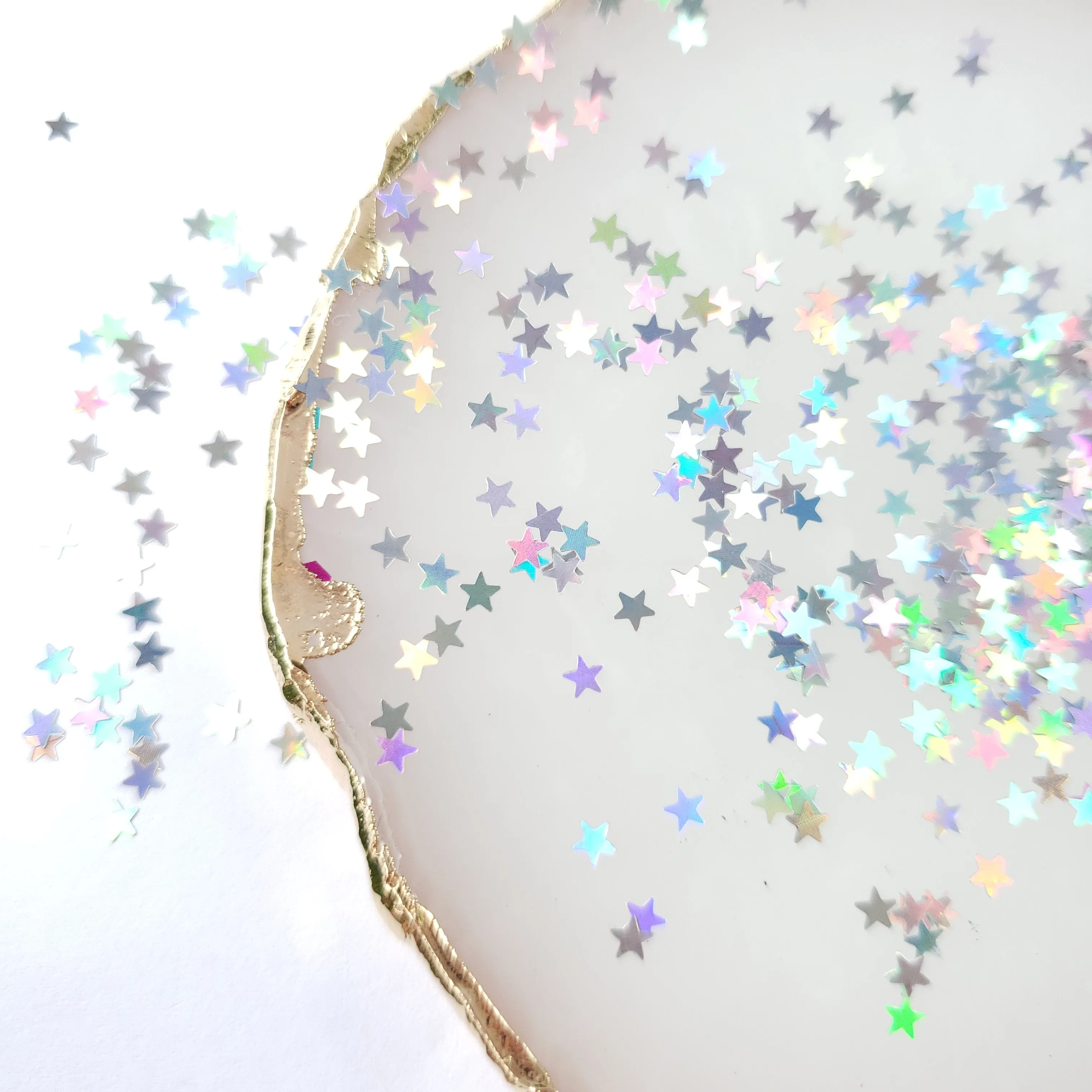 (LB 100) - Star Brights Holographic Glitter