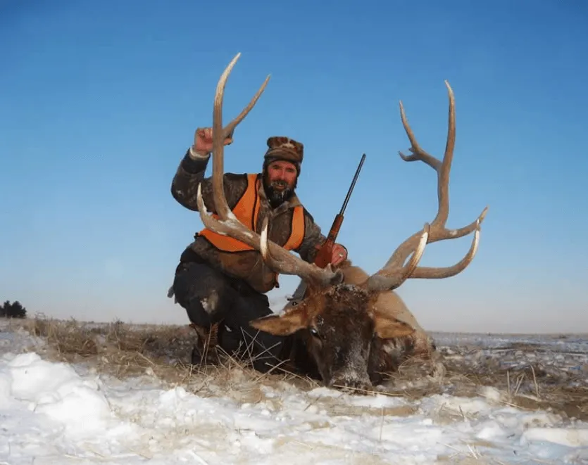 Lone Wolf Guide Services - Guided Elk Hunt (5day)
