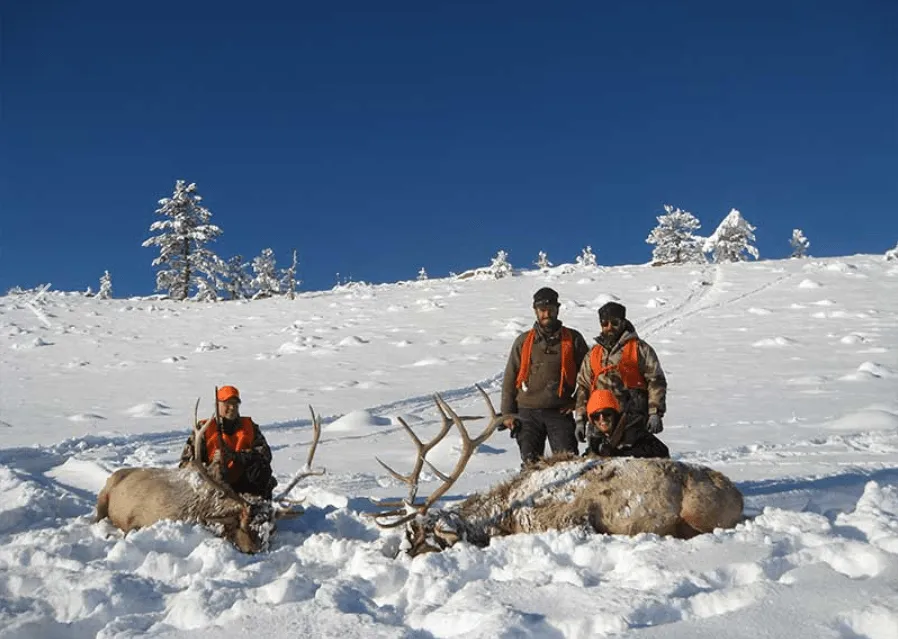 Lone Wolf Guide Services - Guided Elk Hunt (5day)