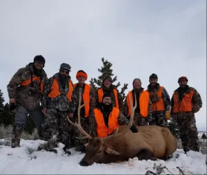 Lone Wolf Guide Services - Guided Elk Hunt (5day)
