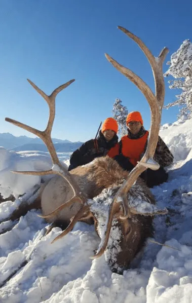 Lone Wolf Guide Services - Guided Elk Hunt (5day)