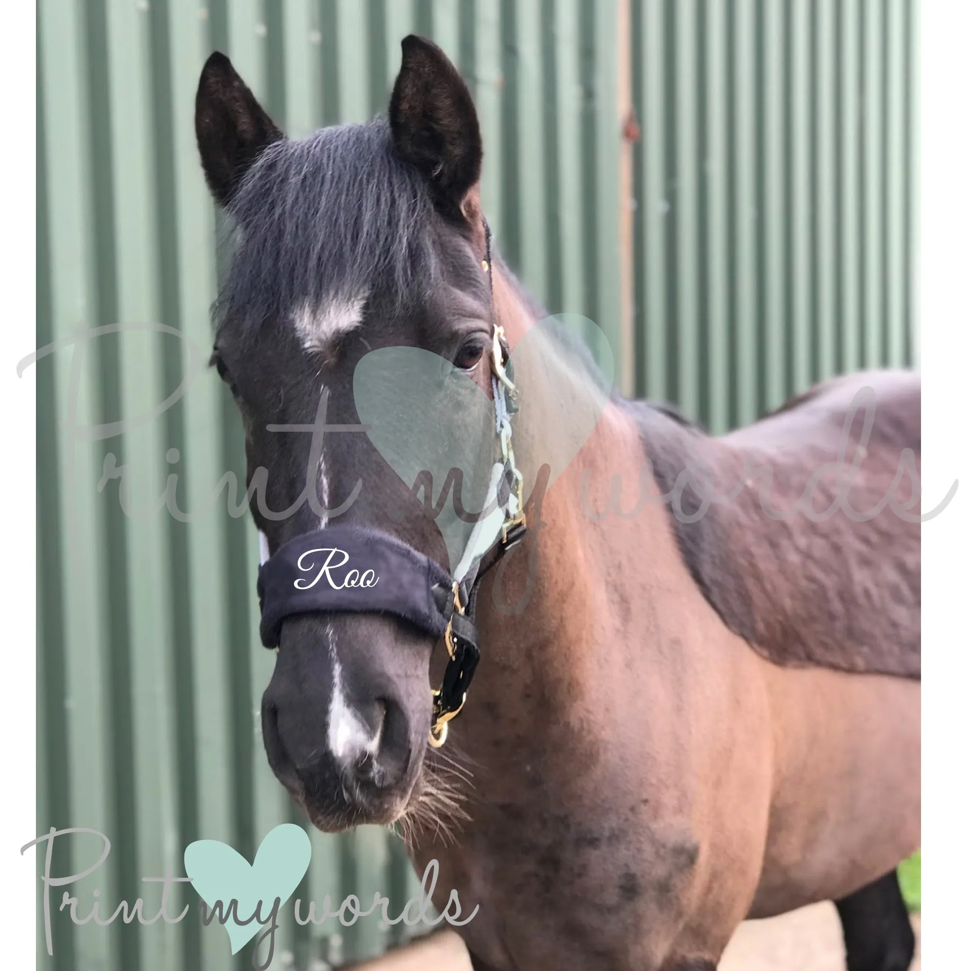 Personalised Anatomical Headcollar And Leadrope Set - Swirl Design