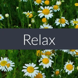Relax Pre Blended Massage Oil