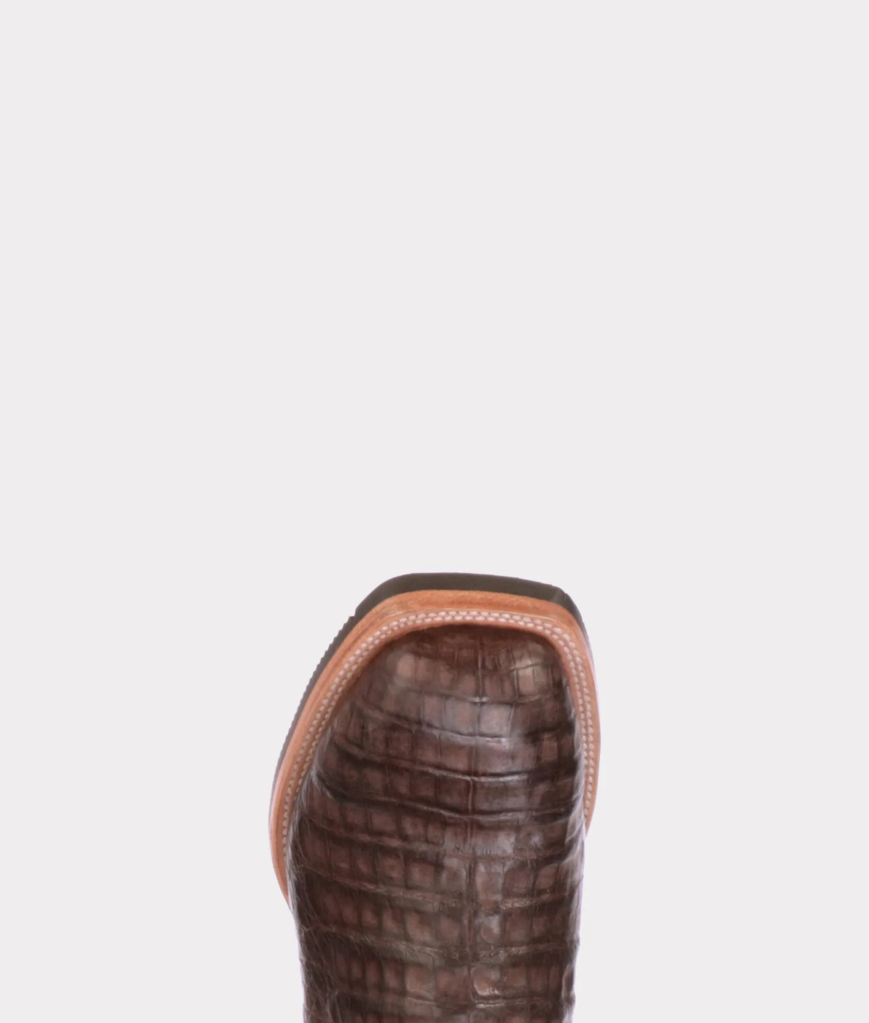 Rowdy Caiman :: Chocolate