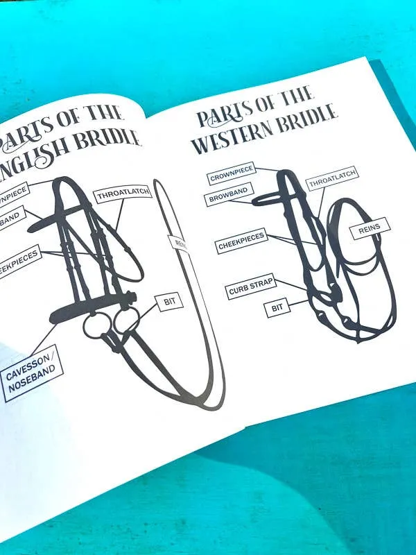 The Book of Equestrian Diagrams & Worksheets