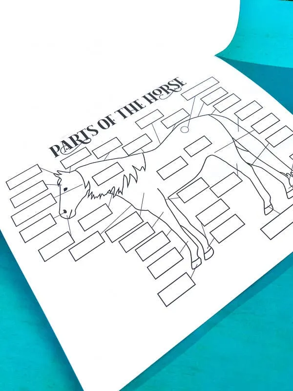 The Book of Equestrian Diagrams & Worksheets