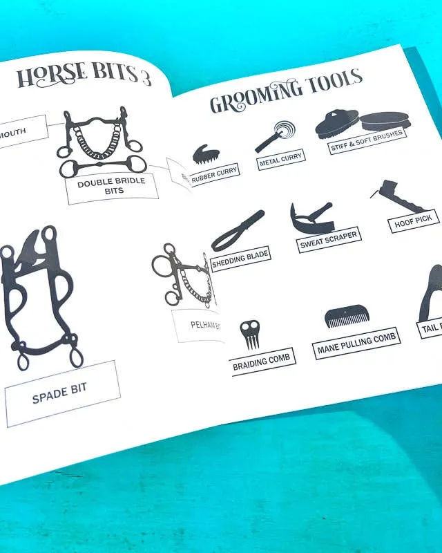 The Book of Equestrian Diagrams & Worksheets