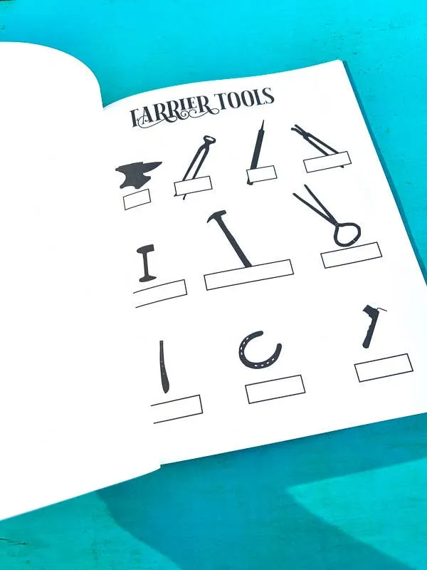 The Book of Equestrian Diagrams & Worksheets