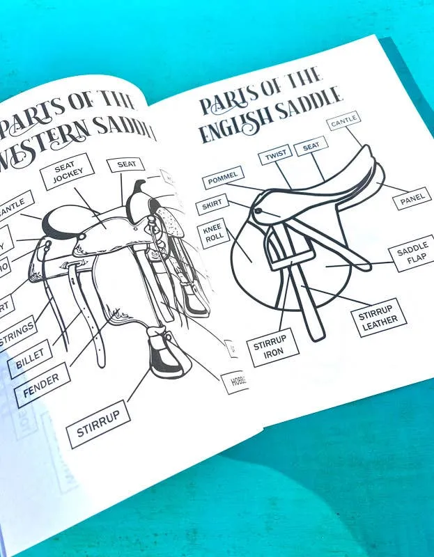 The Book of Equestrian Diagrams & Worksheets