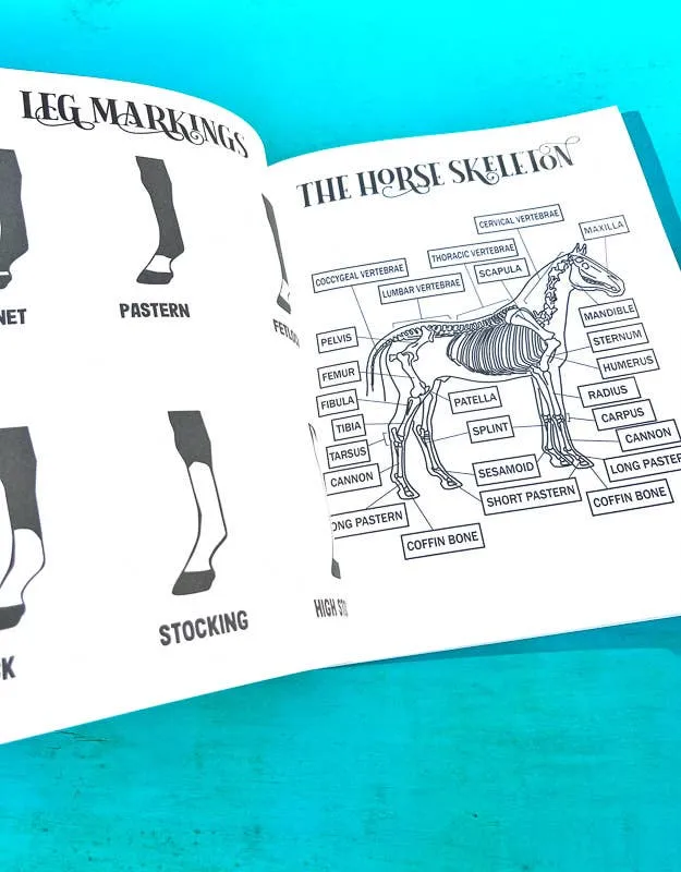 The Book of Equestrian Diagrams & Worksheets