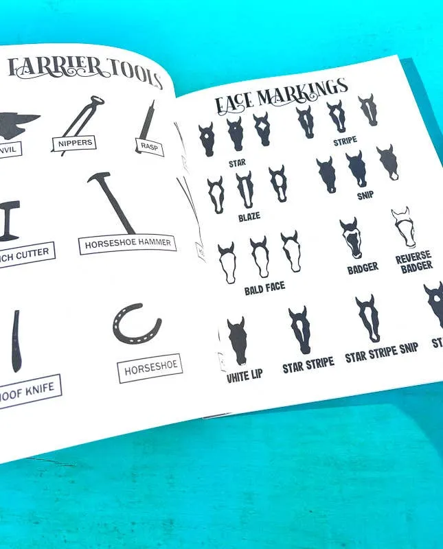 The Book of Equestrian Diagrams & Worksheets