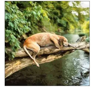 Time for Relax