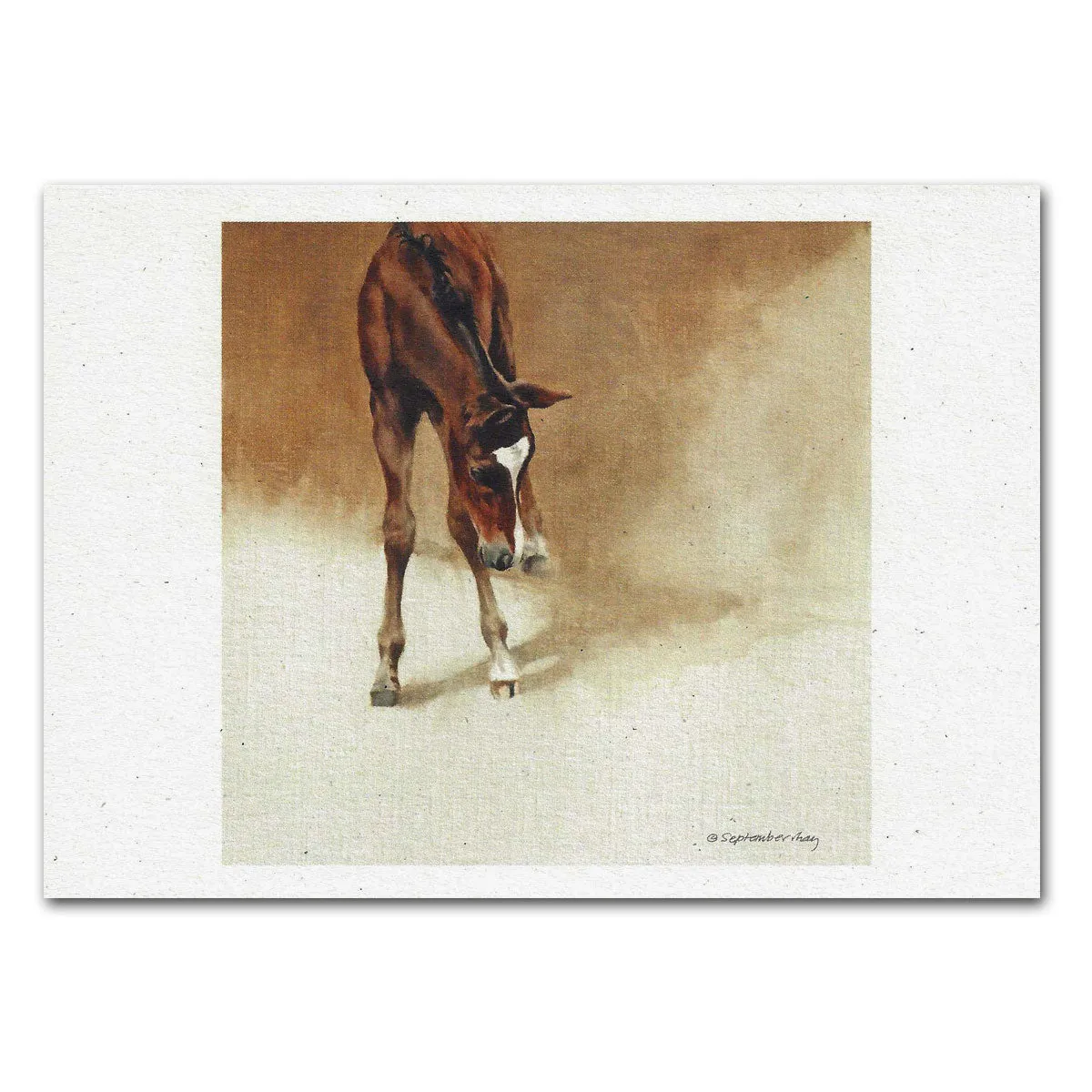 Visions' Bright Foal Note Cards
