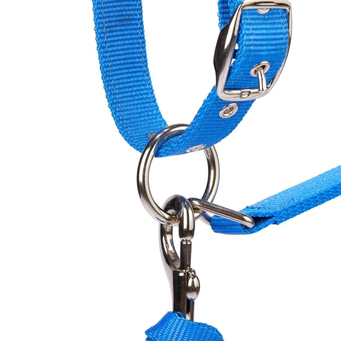 Winner Horse and Pony Riding Halter   Leadrope Pack