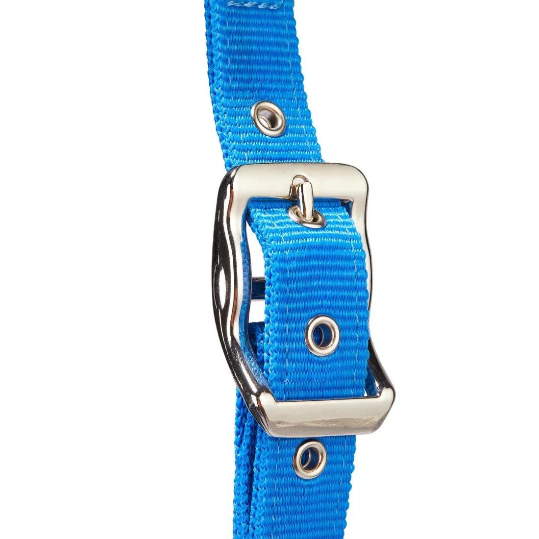 Winner Horse and Pony Riding Halter   Leadrope Pack