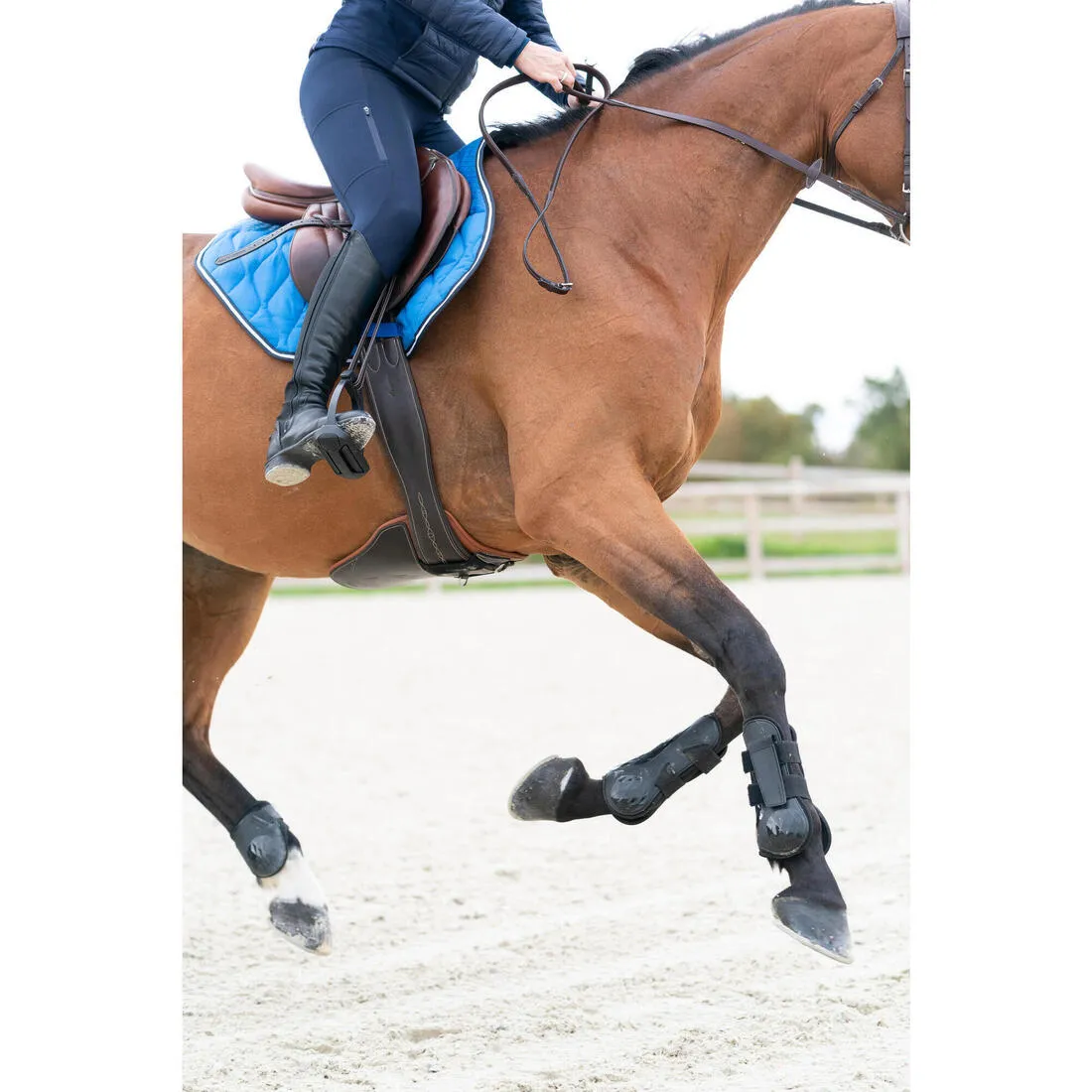 Women's Horse Riding Full Grip Leggings 500