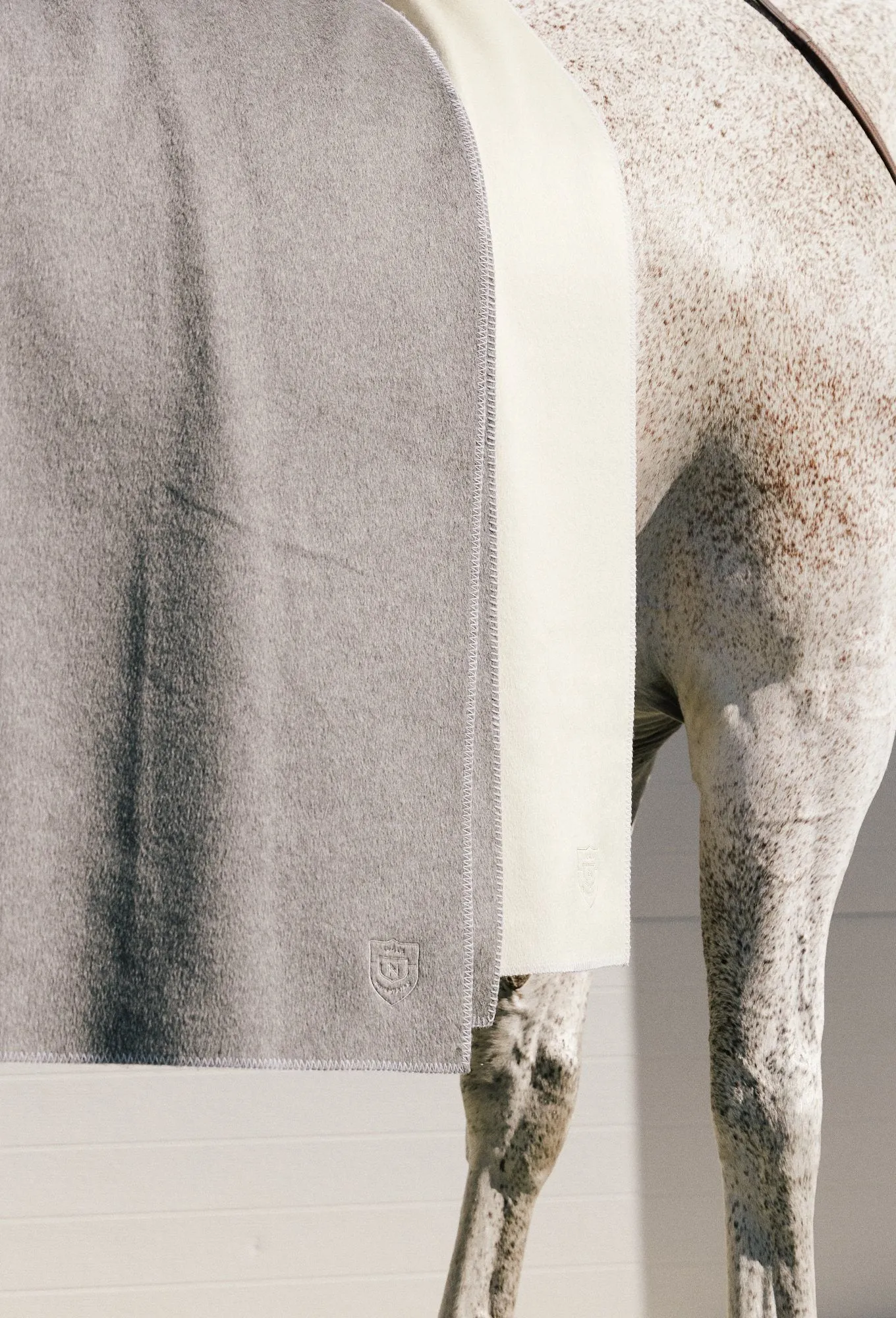 Wool Blanket